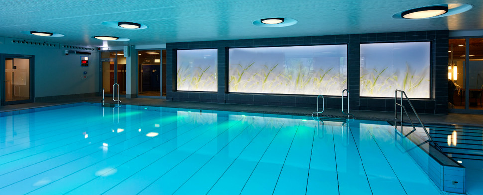 Cincinnati Bengals Tickets Bengals Com Cincinnati Bengals Tickets Bengals Com